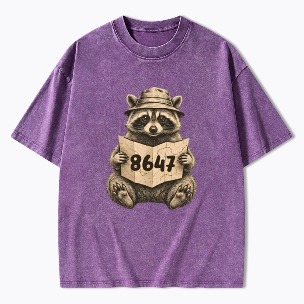 Finding the Truth Raccoon Map Washed T-Shirt