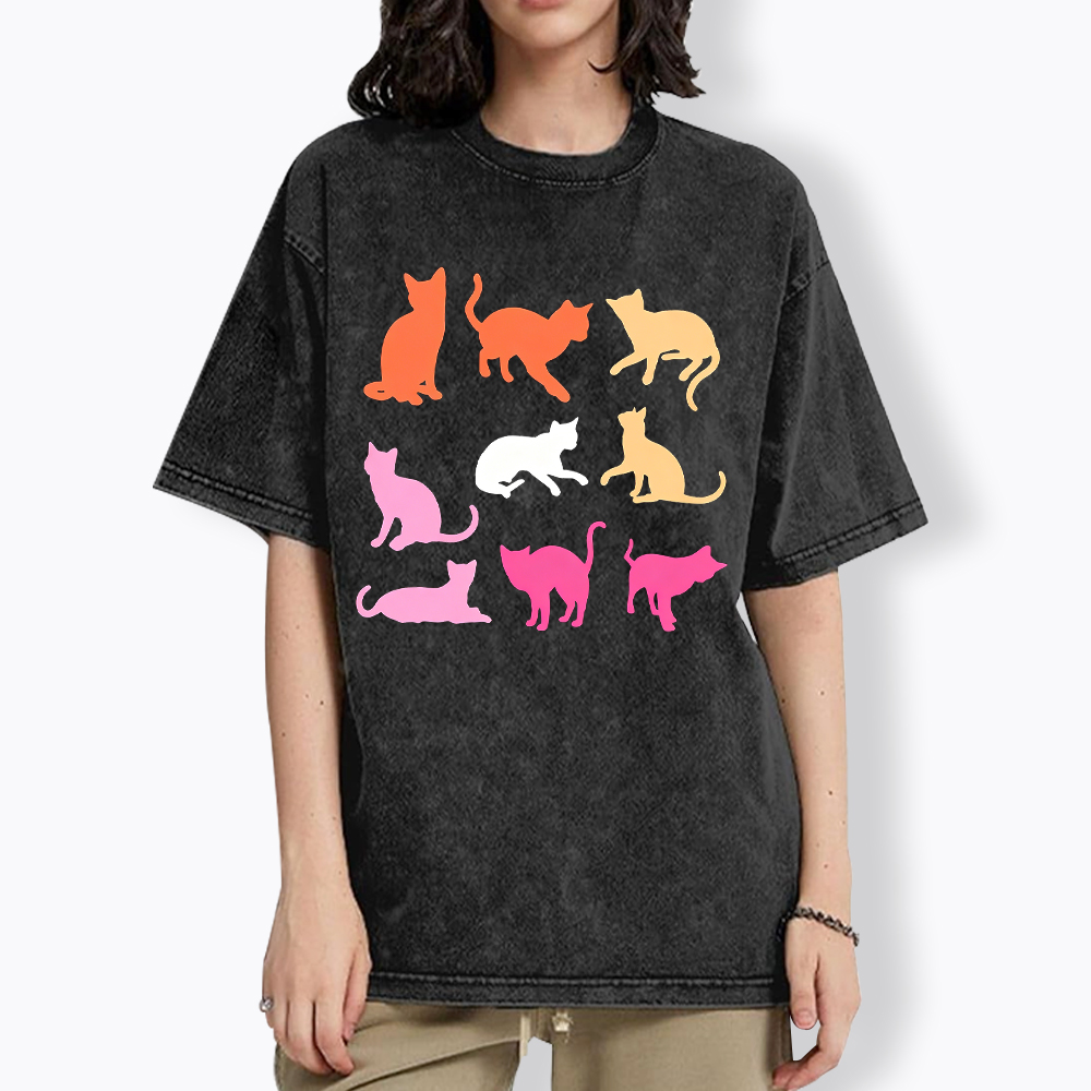 Cats in Lesbian Pride Flag Colors Washed T-Shirt