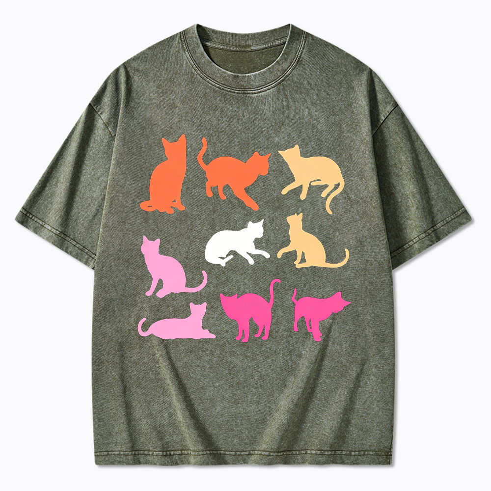 Cats in Lesbian Pride Flag Colors Washed T-Shirt