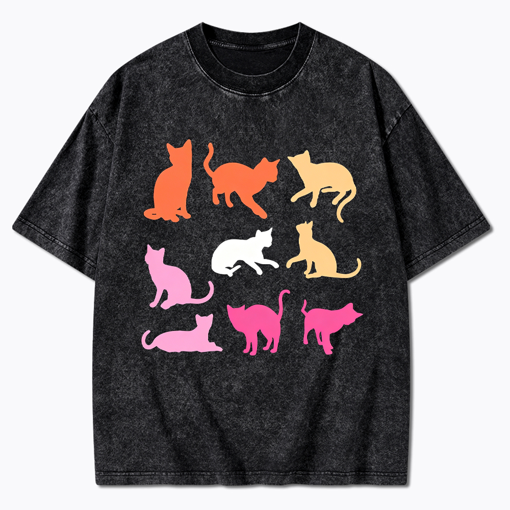 Cats in Lesbian Pride Flag Colors Washed T-Shirt