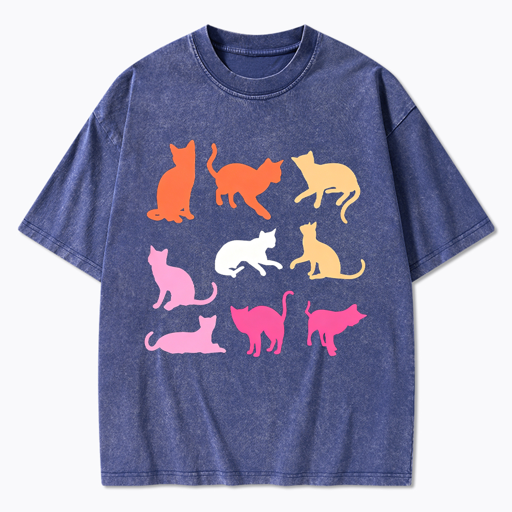 Cats in Lesbian Pride Flag Colors Washed T-Shirt