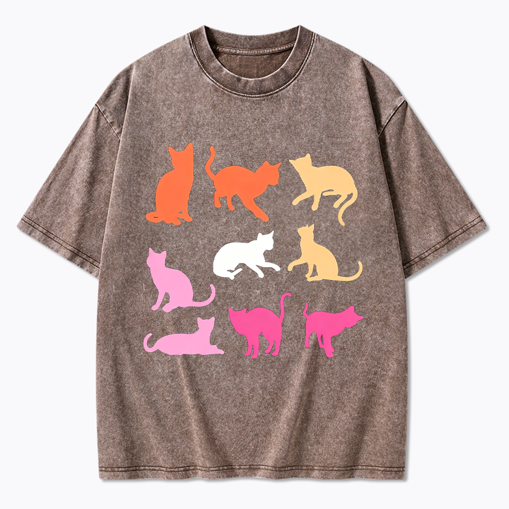 Cats in Lesbian Pride Flag Colors Washed T-Shirt