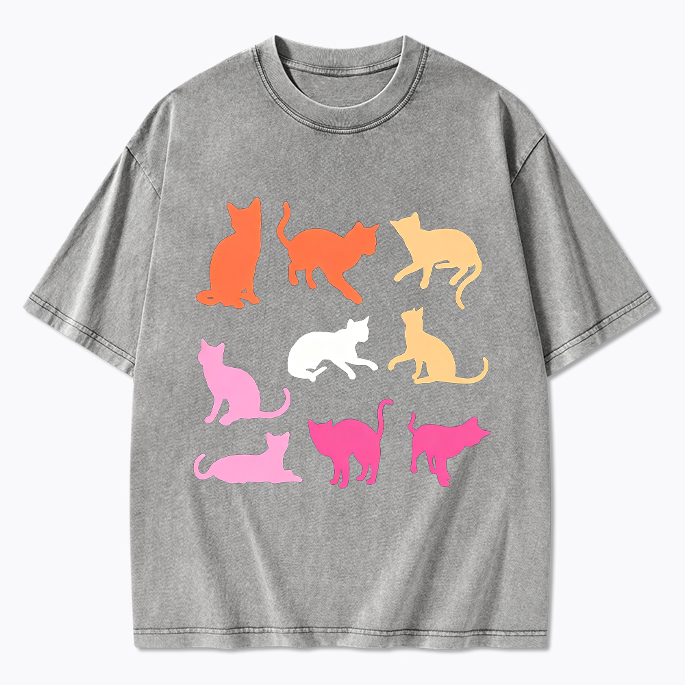 Cats in Lesbian Pride Flag Colors Washed T-Shirt