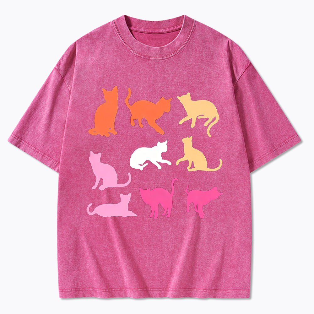 Cats in Lesbian Pride Flag Colors Washed T-Shirt