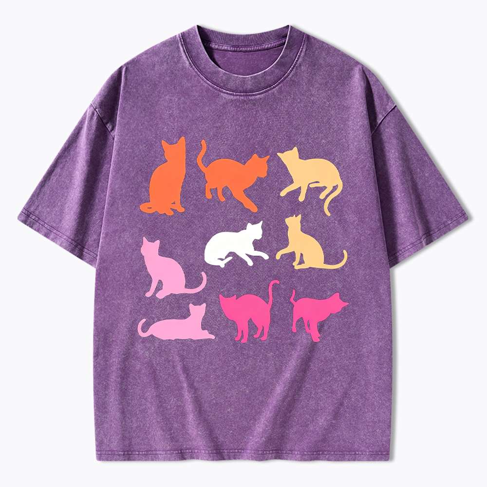 Cats in Lesbian Pride Flag Colors Washed T-Shirt
