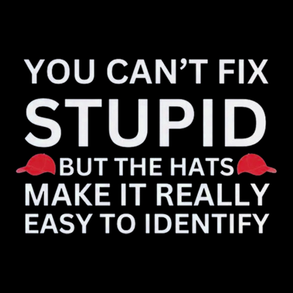 You Can't Fix Stupid Washed T-Shirt