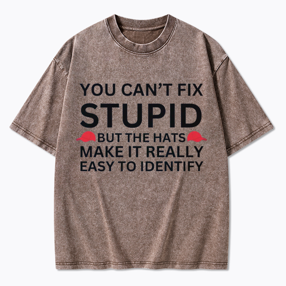 You Can't Fix Stupid Washed T-Shirt