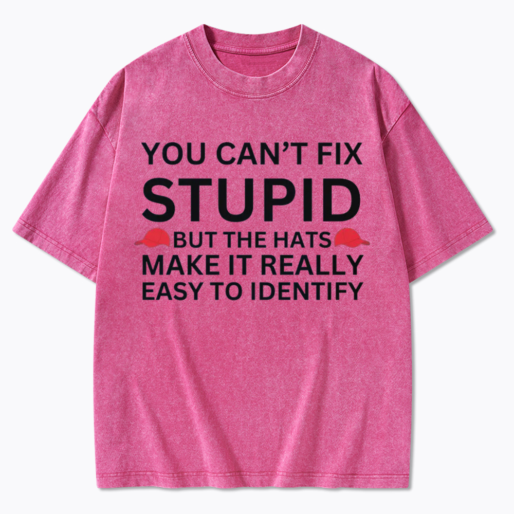 You Can't Fix Stupid Washed T-Shirt