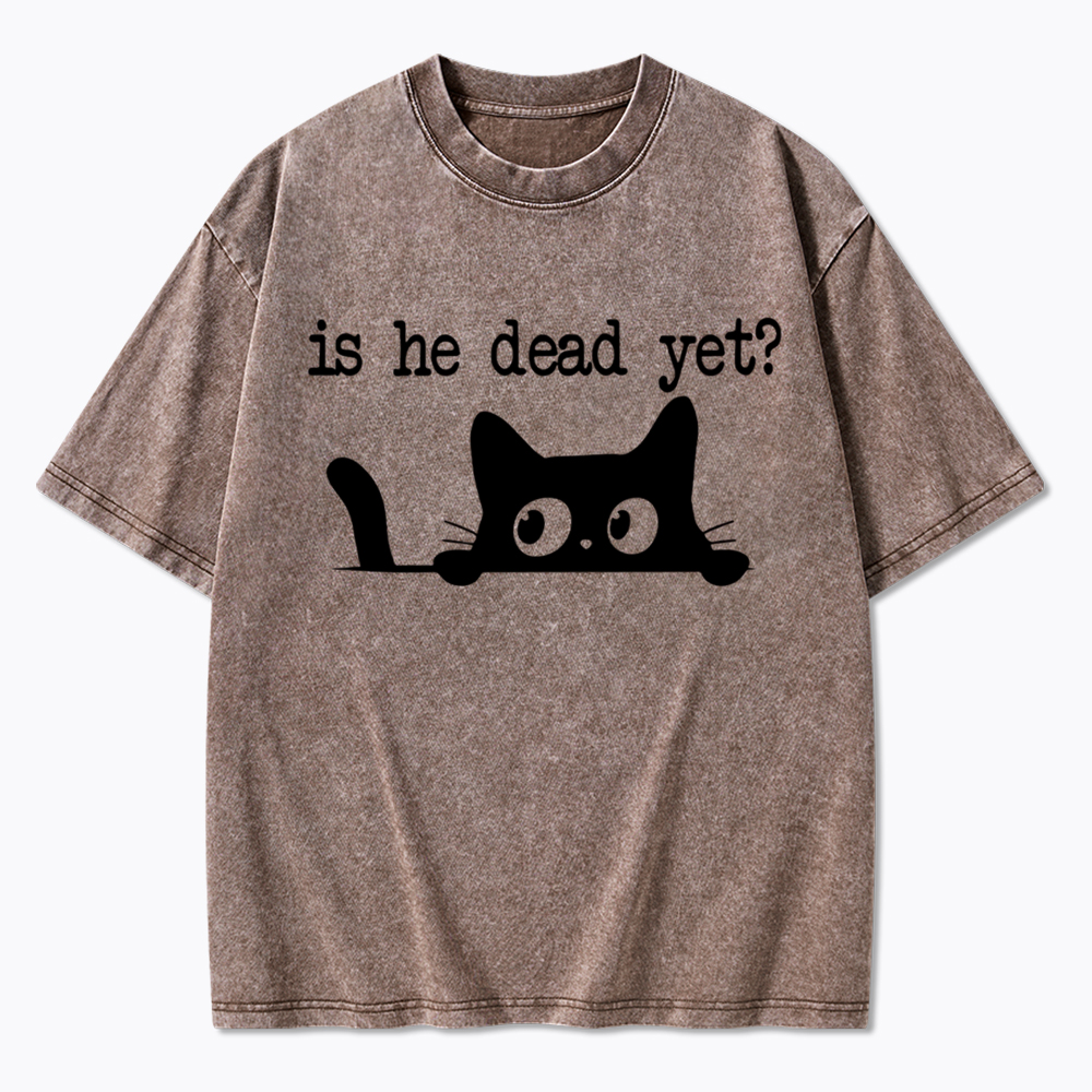 Is He Dead Yet Washed T-Shirt
