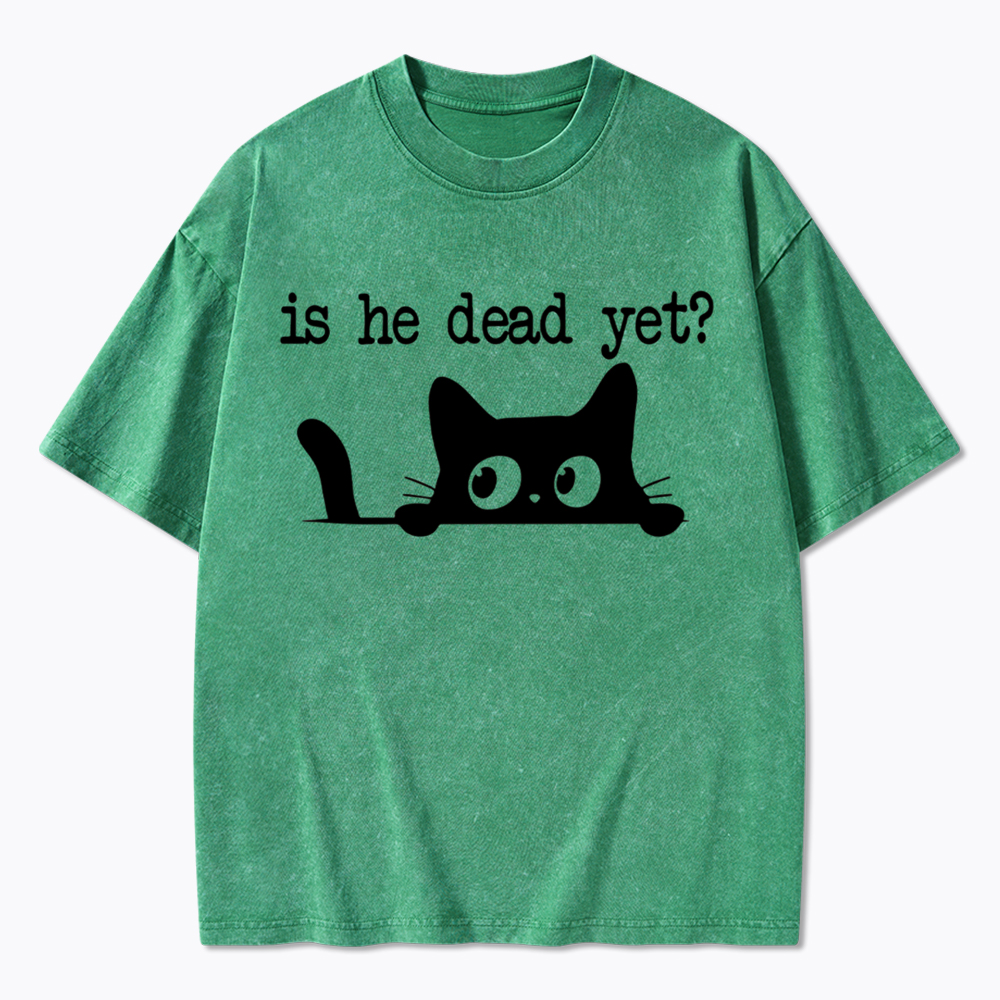 Is He Dead Yet Washed T-Shirt