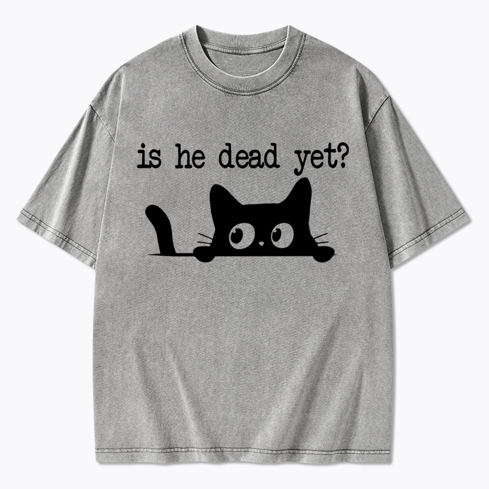 Is He Dead Yet Washed T-Shirt