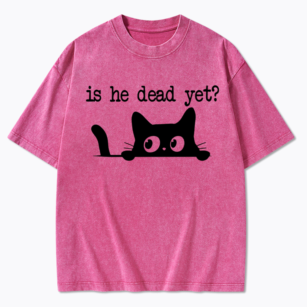 Is He Dead Yet Washed T-Shirt