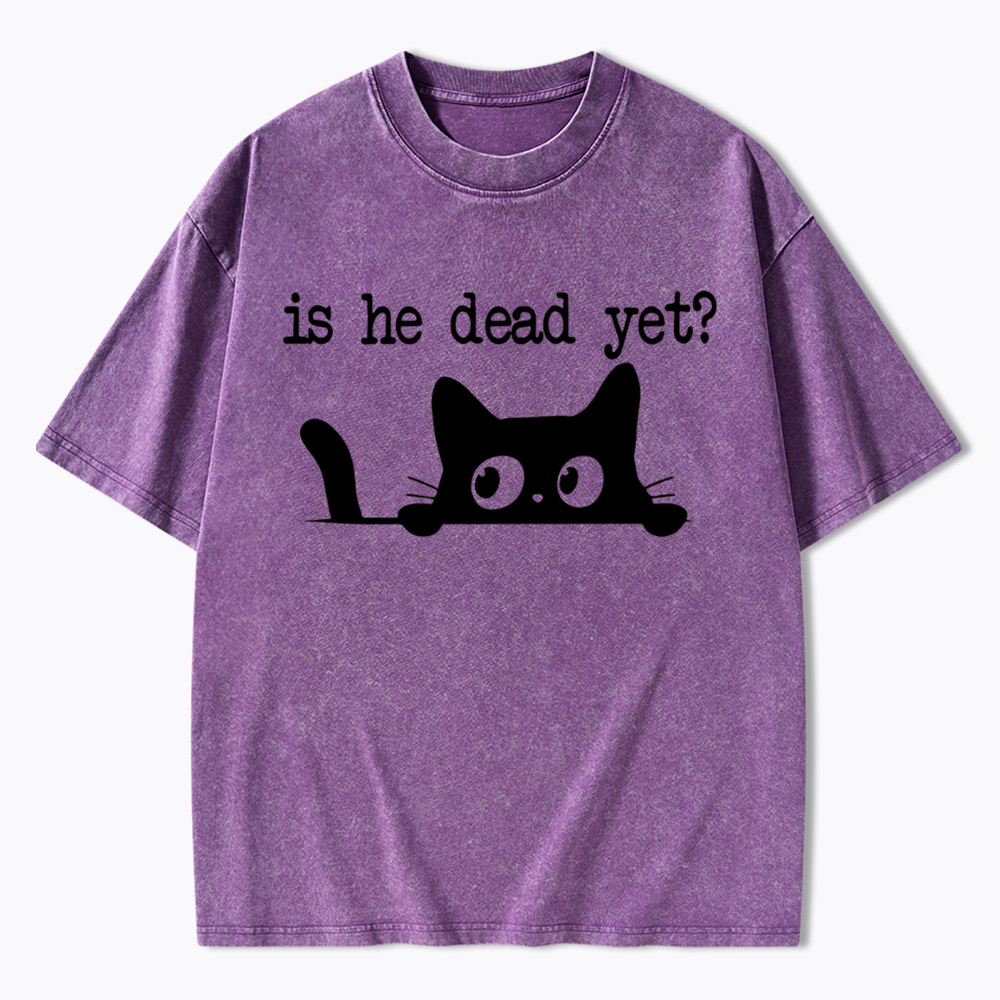 Is He Dead Yet Washed T-Shirt