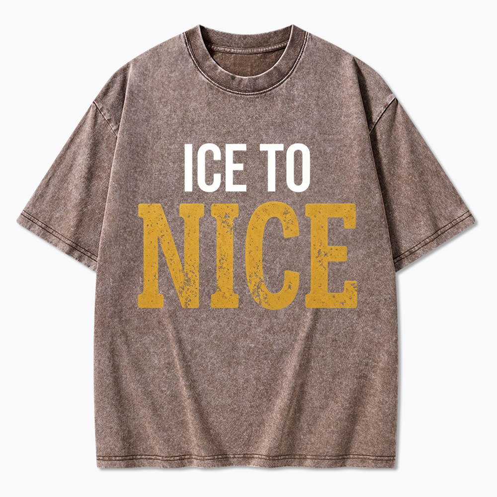 ICE to NICE Washed T-Shirt