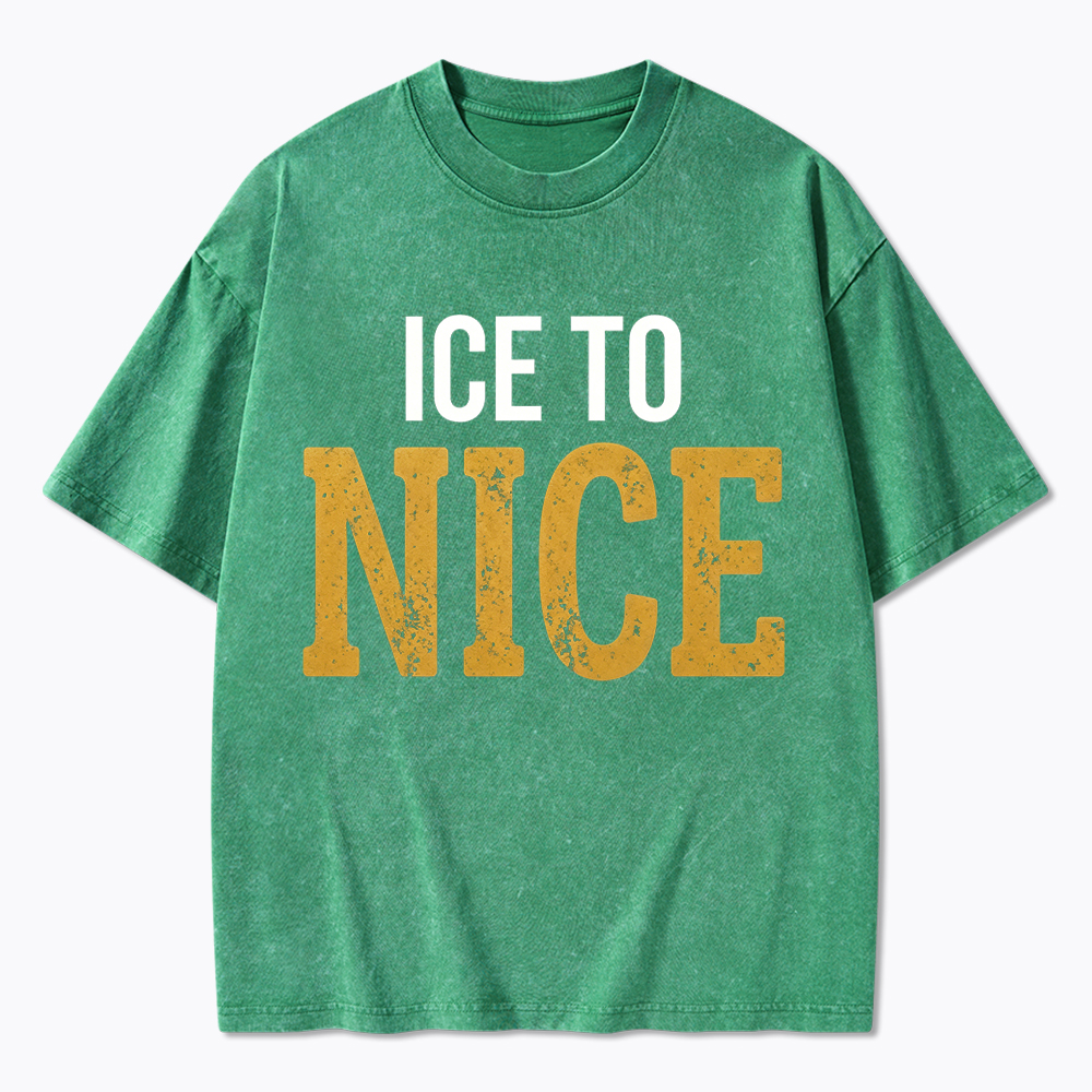 ICE to NICE Washed T-Shirt