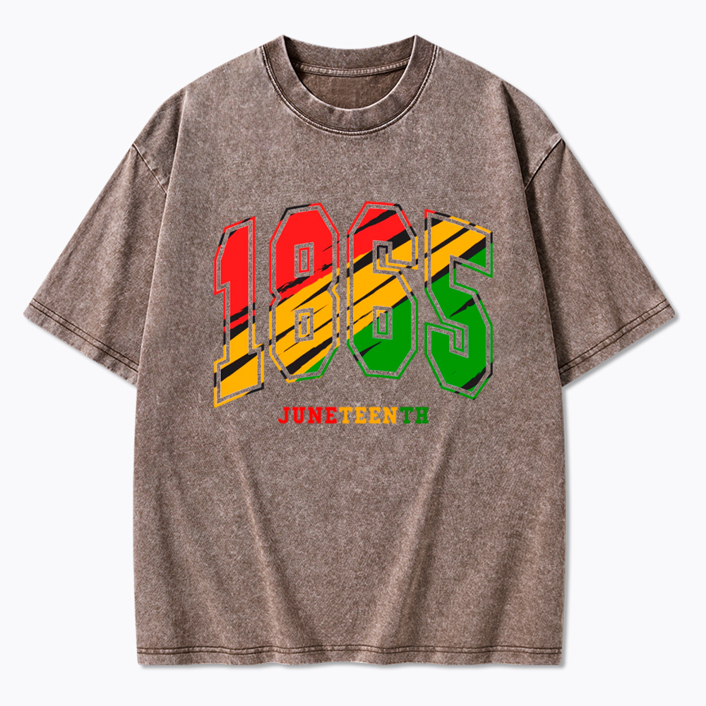 Juneteenth 1865 Washed T-Shirt