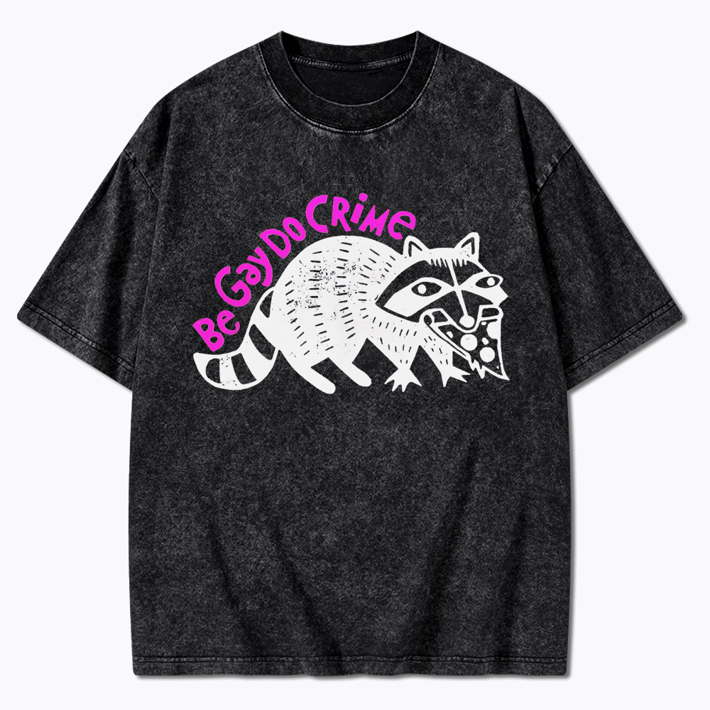 Be Gay Do Crime Pizza Raccoon Washed T-Shirt