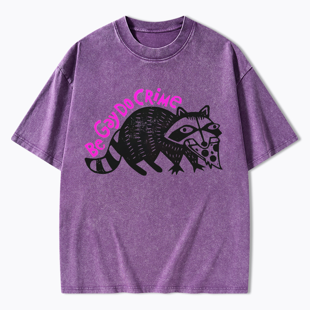 Be Gay Do Crime Pizza Raccoon Washed T-Shirt
