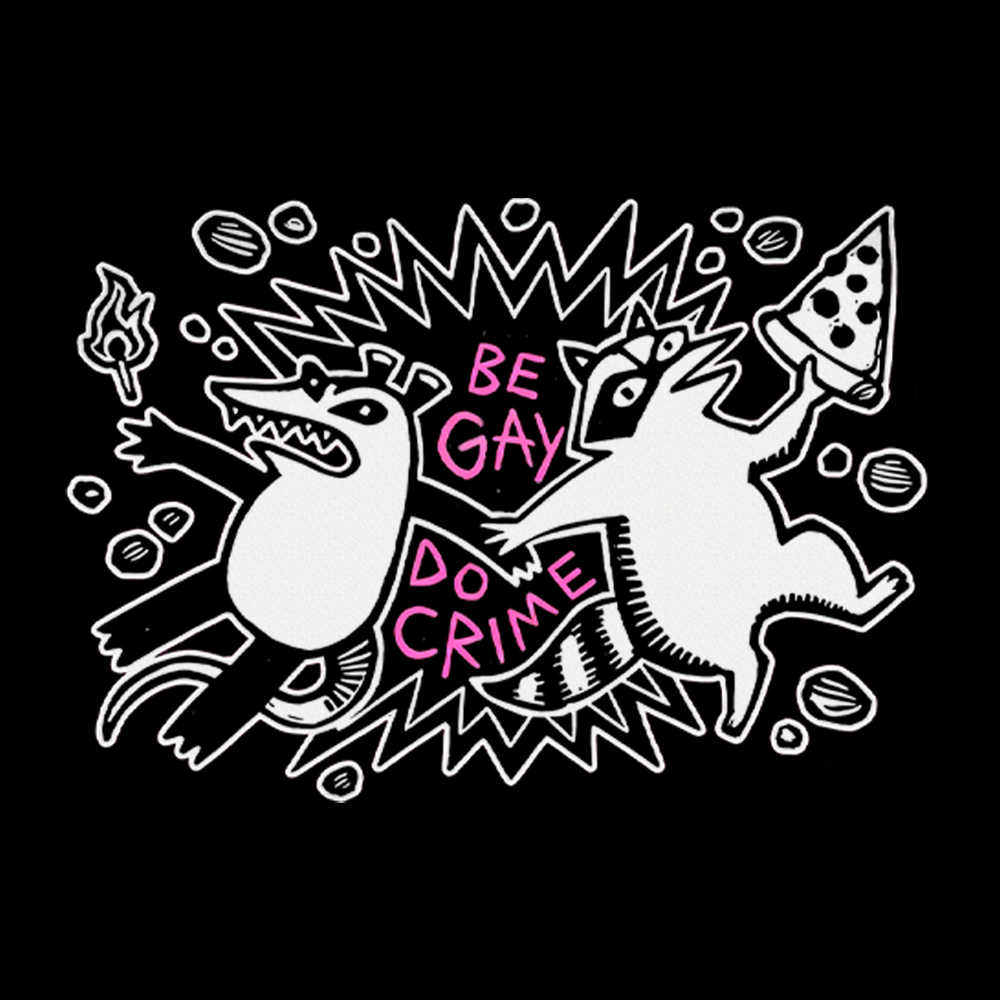 Be Gay Do Crime Raccoon and Possum Washed T-Shirt