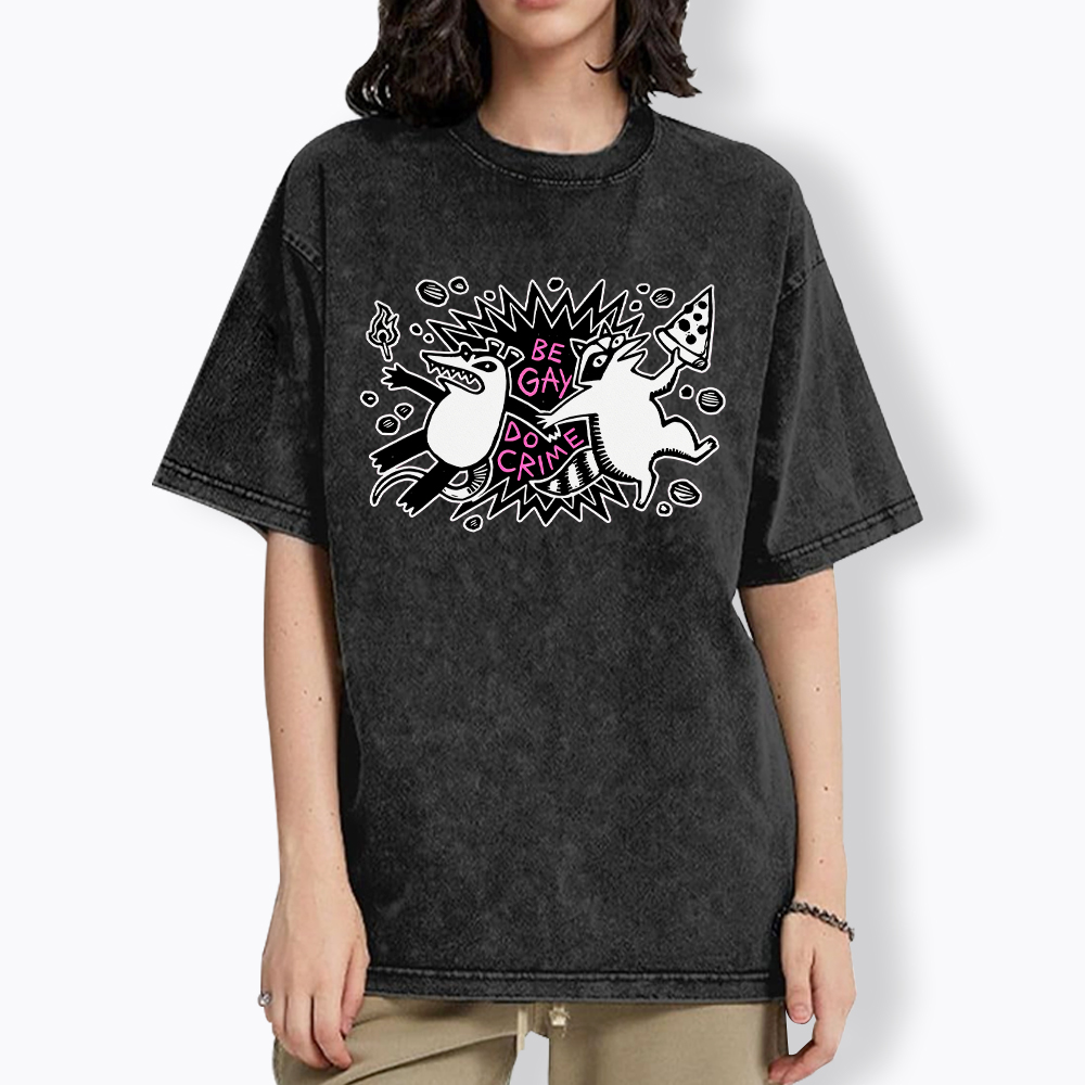 Be Gay Do Crime Raccoon and Possum Washed T-Shirt