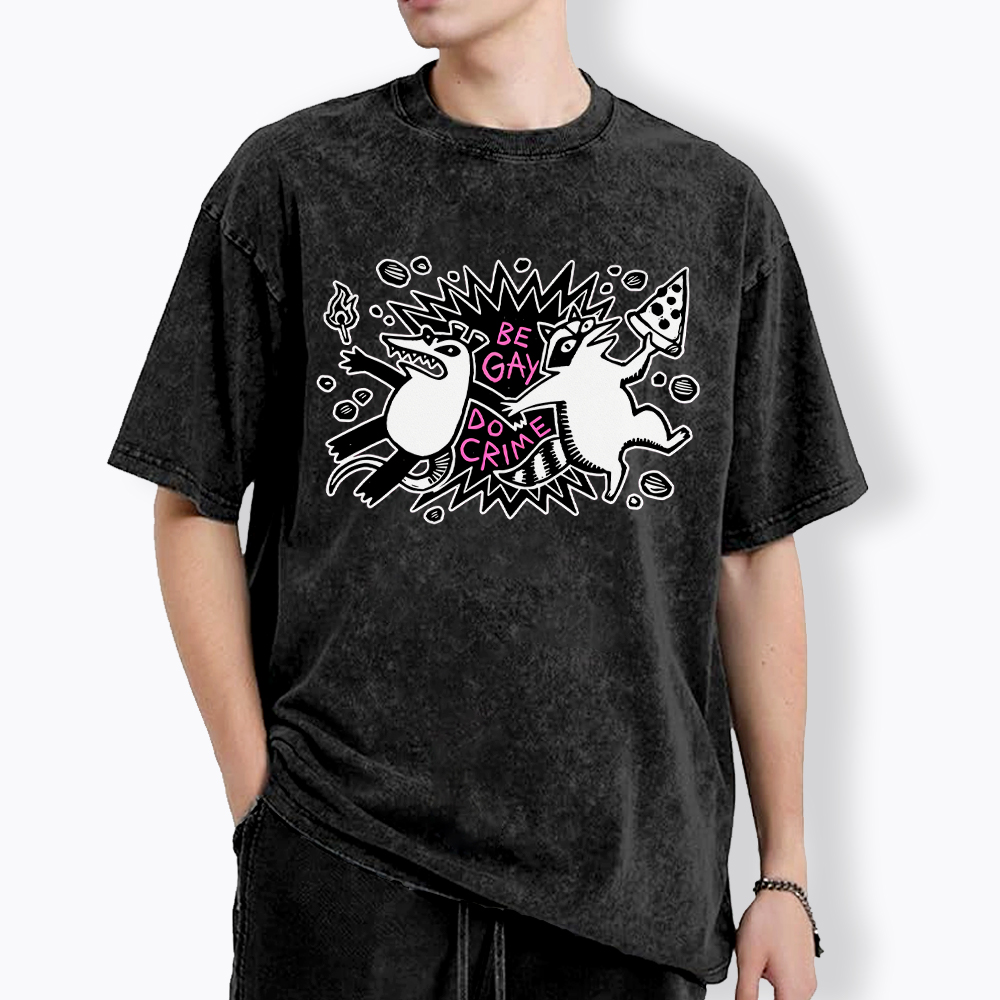 Be Gay Do Crime Raccoon and Possum Washed T-Shirt