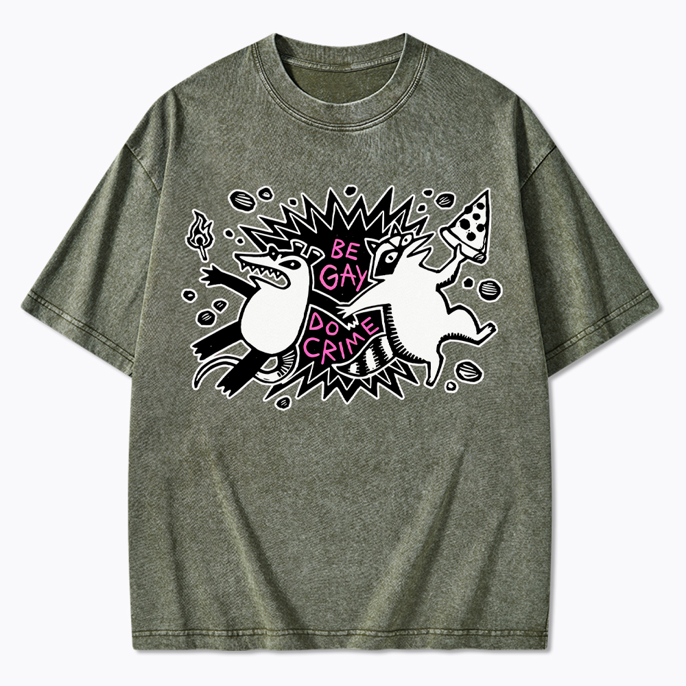Be Gay Do Crime Raccoon and Possum Washed T-Shirt
