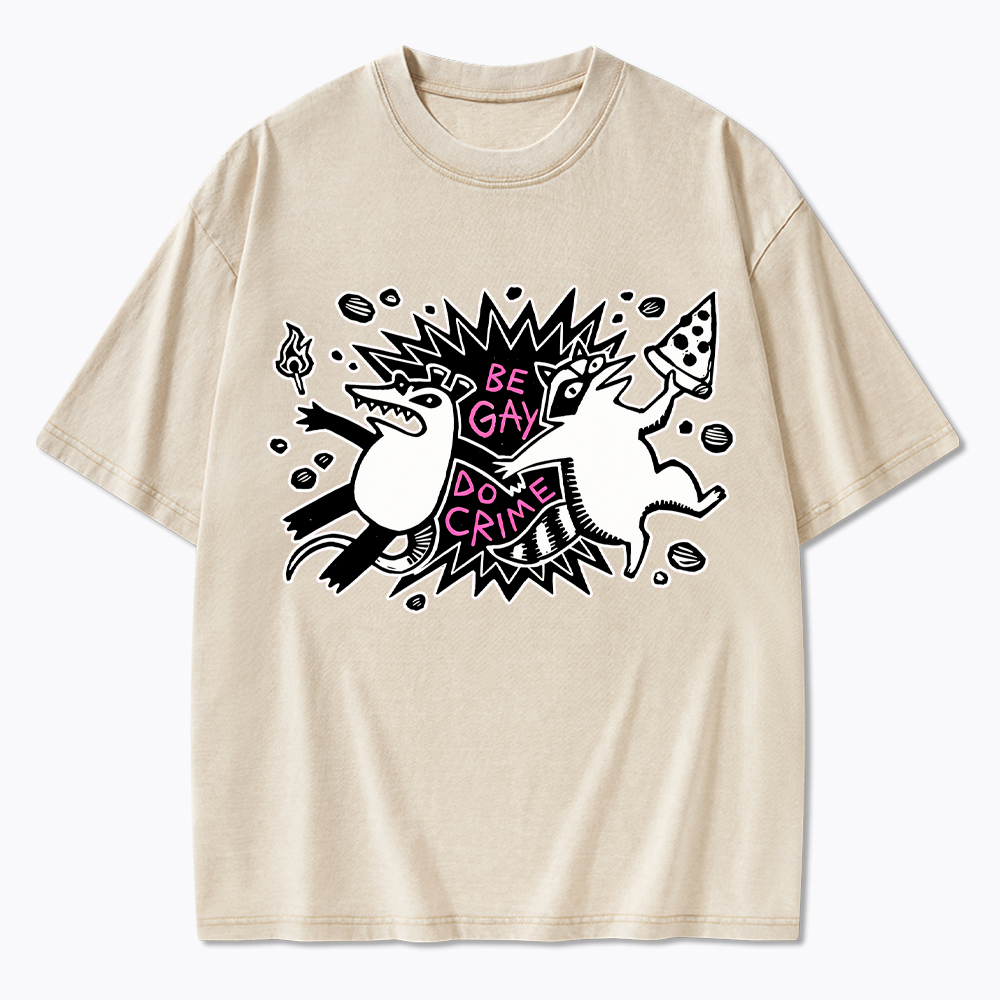 Be Gay Do Crime Raccoon and Possum Washed T-Shirt