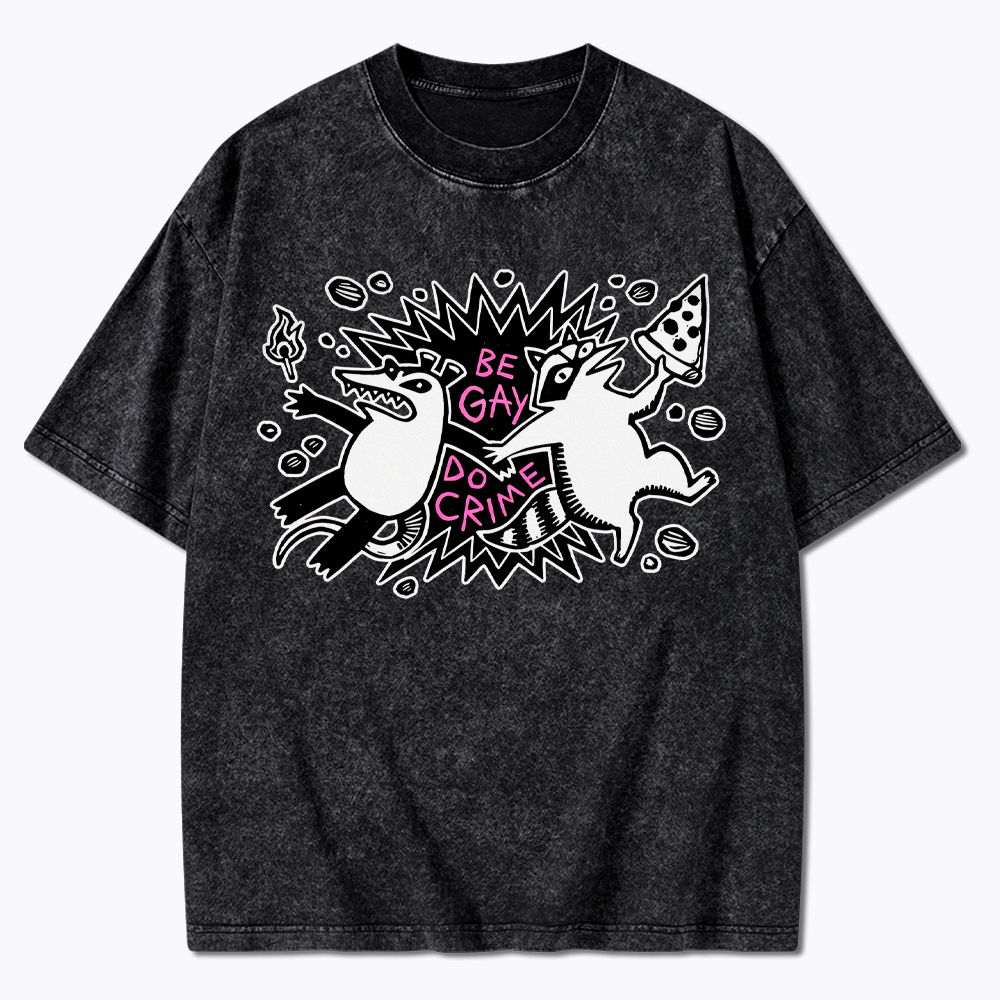 Be Gay Do Crime Raccoon and Possum Washed T-Shirt