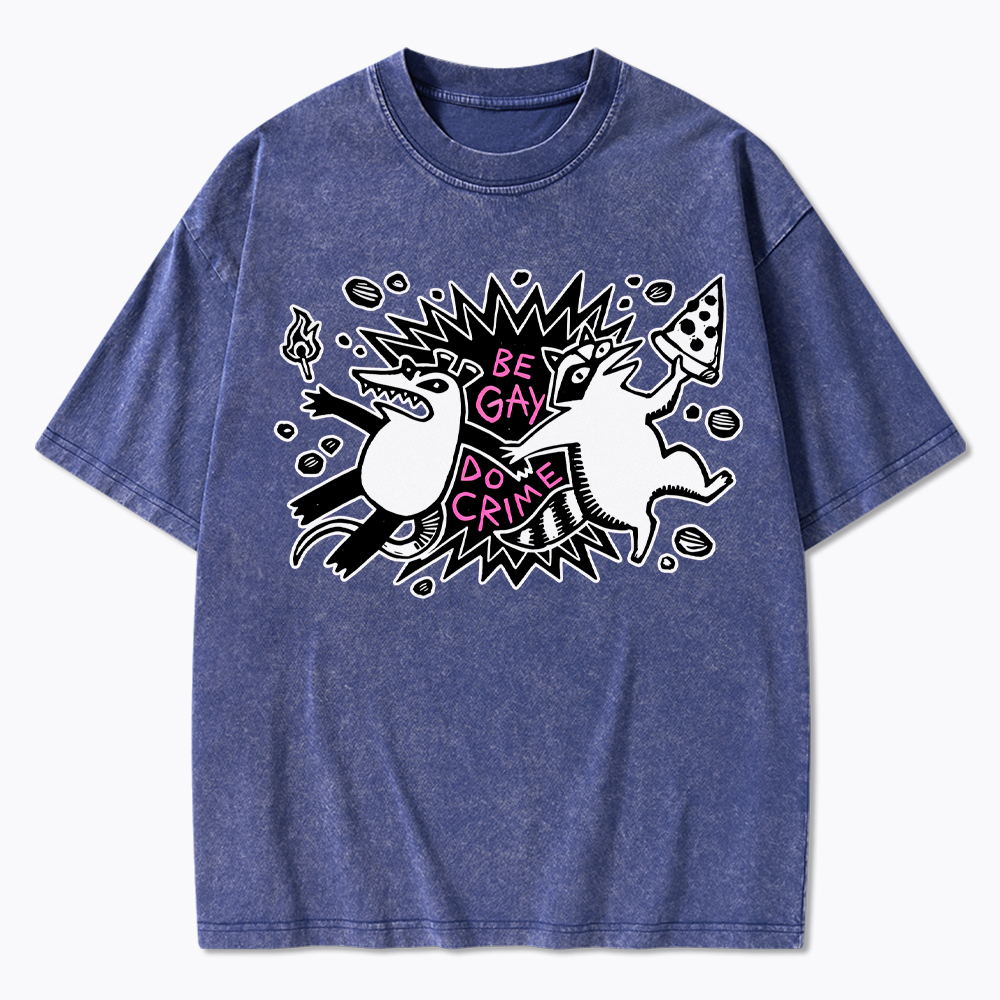 Be Gay Do Crime Raccoon and Possum Washed T-Shirt