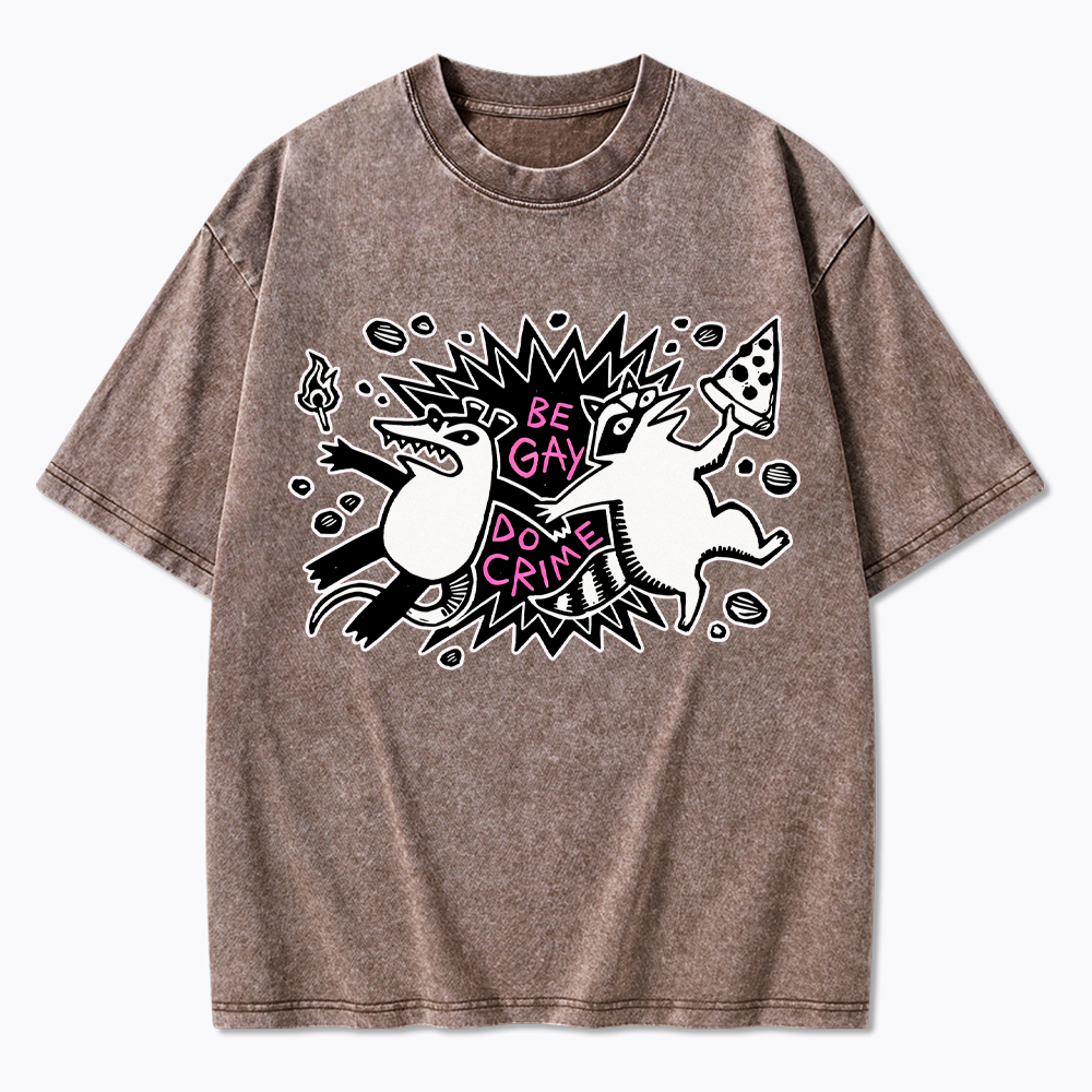 Be Gay Do Crime Raccoon and Possum Washed T-Shirt