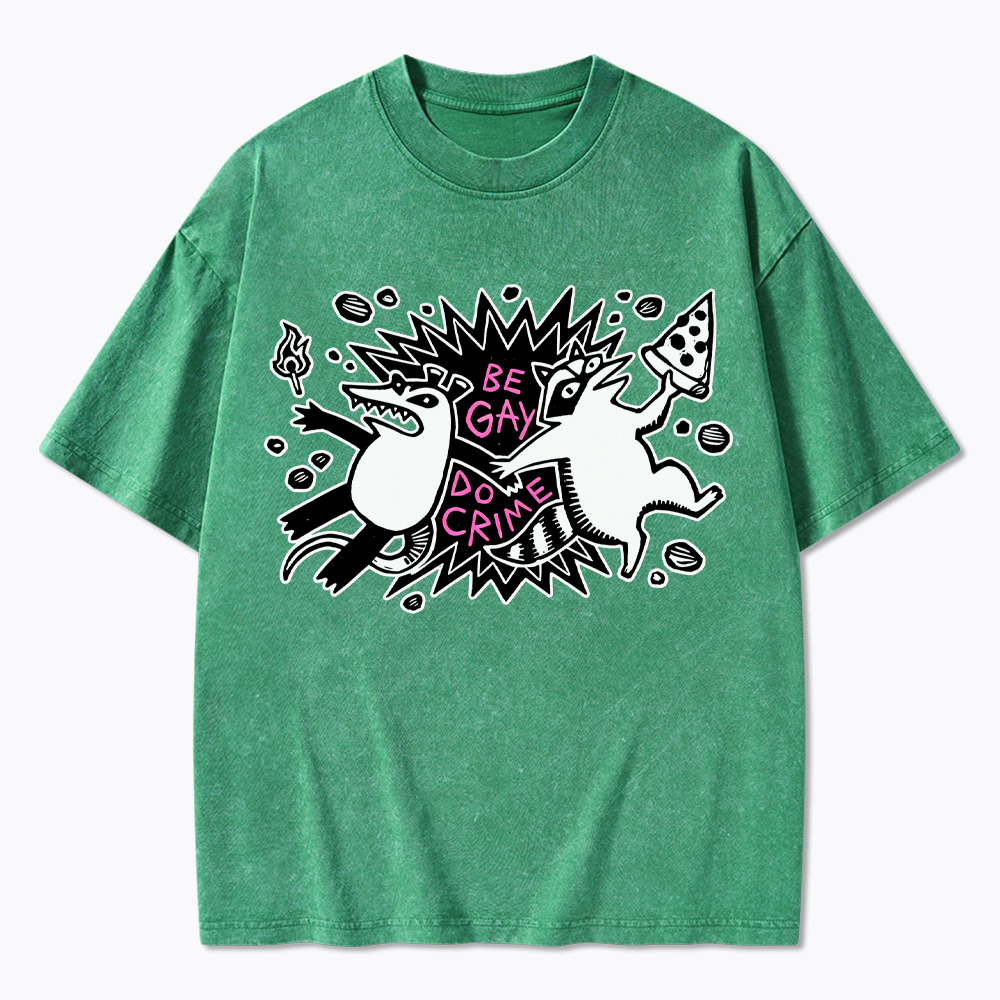 Be Gay Do Crime Raccoon and Possum Washed T-Shirt