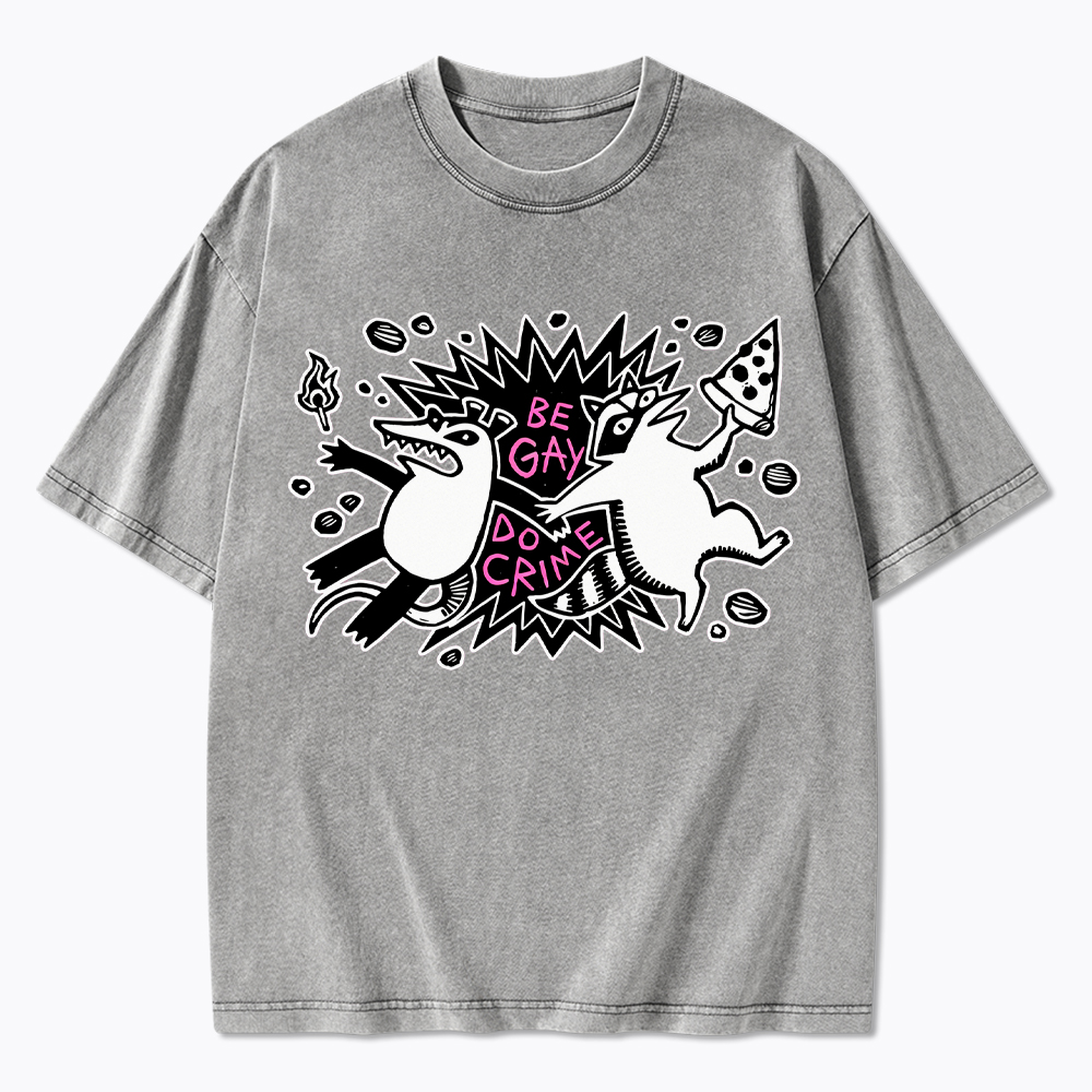Be Gay Do Crime Raccoon and Possum Washed T-Shirt