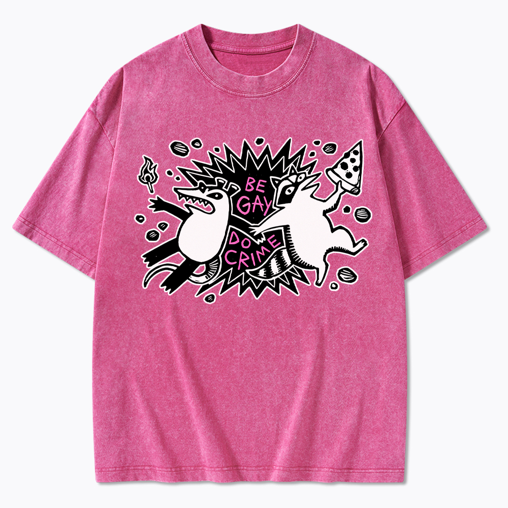 Be Gay Do Crime Raccoon and Possum Washed T-Shirt