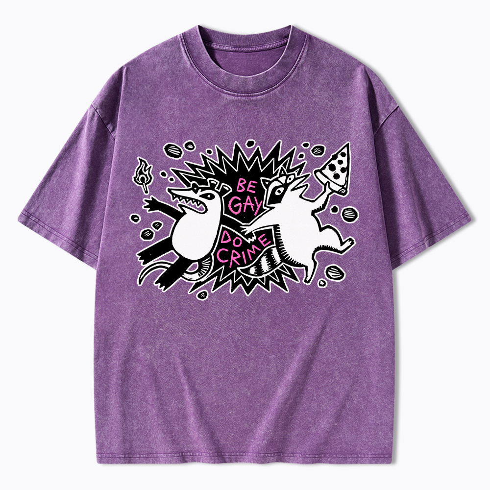 Be Gay Do Crime Raccoon and Possum Washed T-Shirt