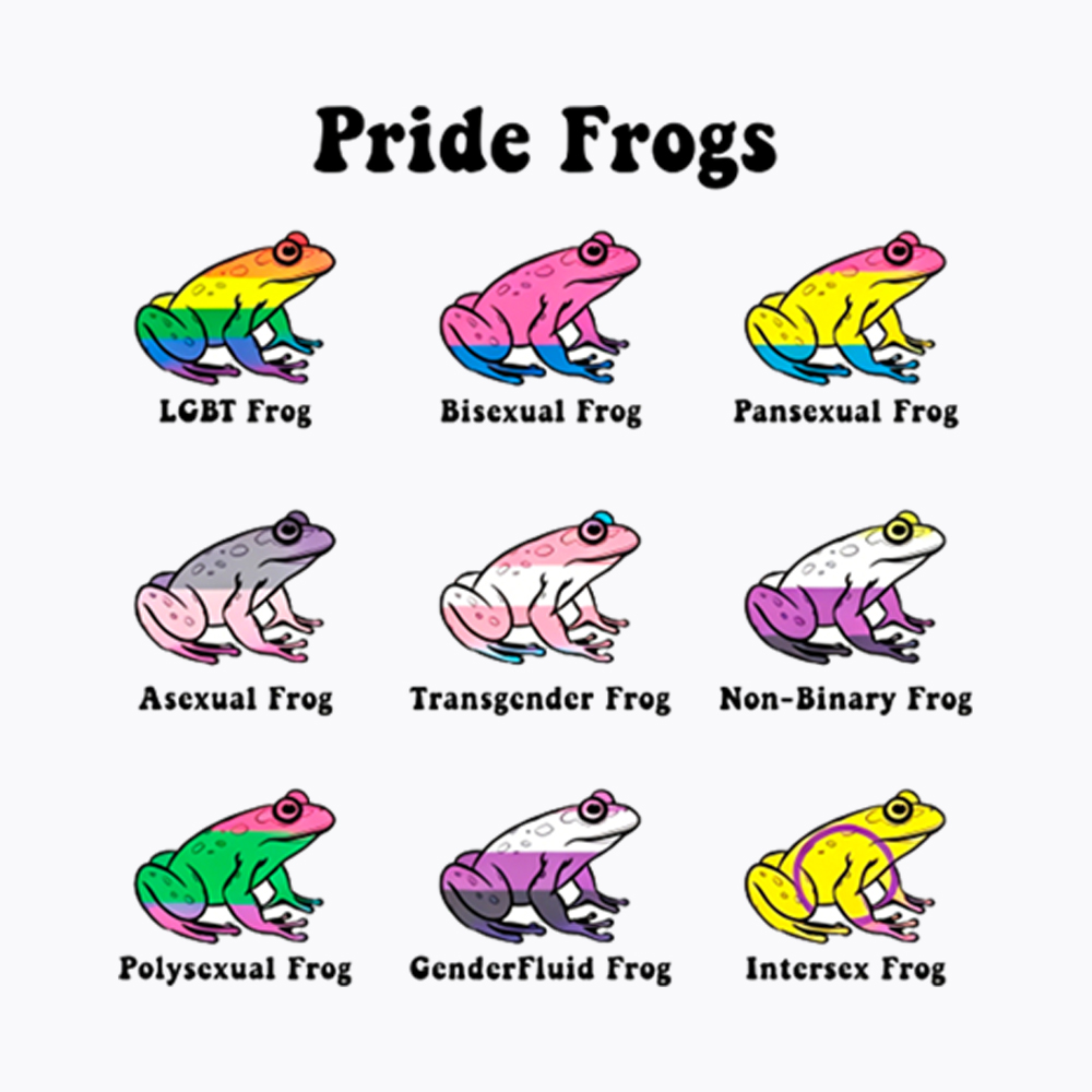 Pride Frogs Washed T-Shirt