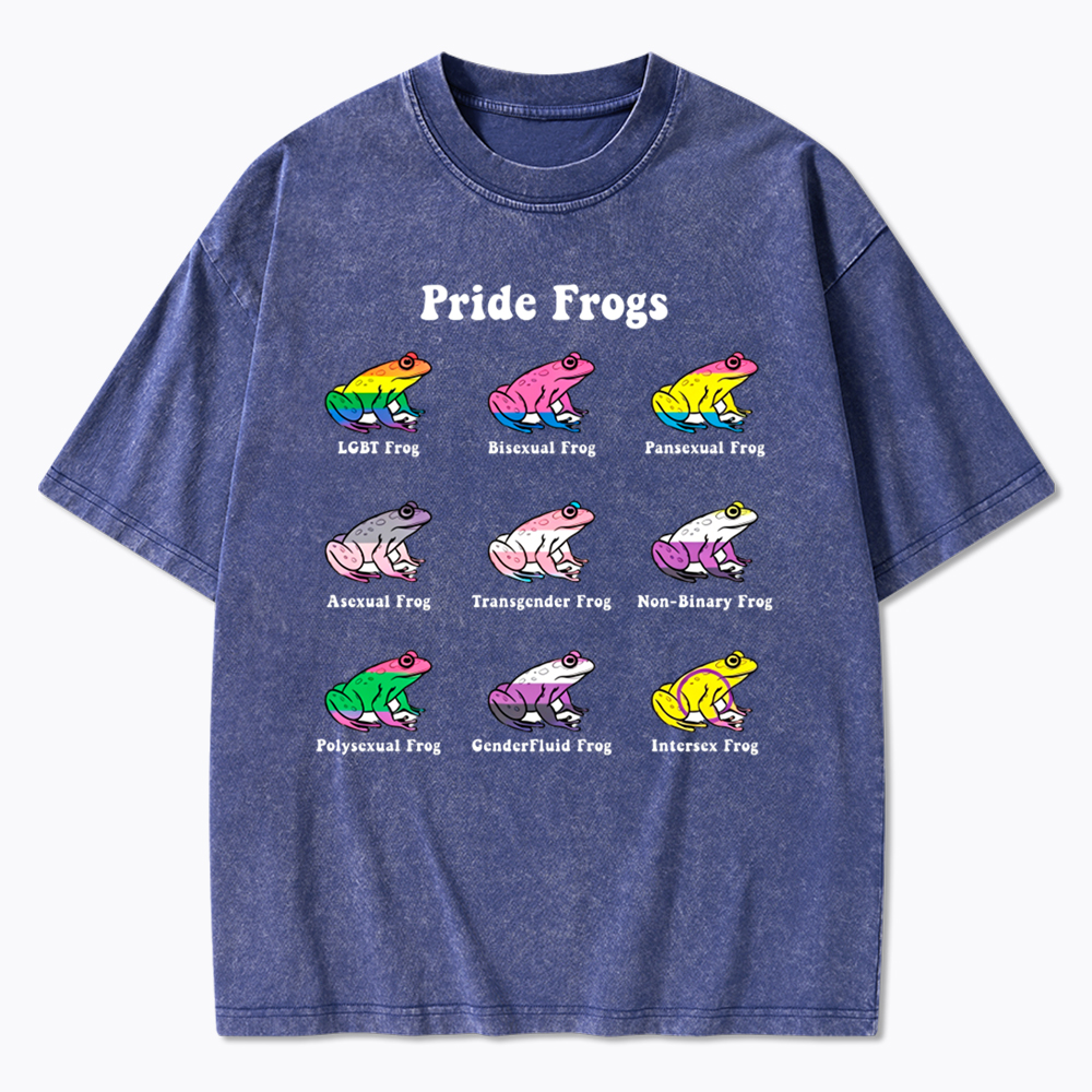 Pride Frogs Washed T-Shirt