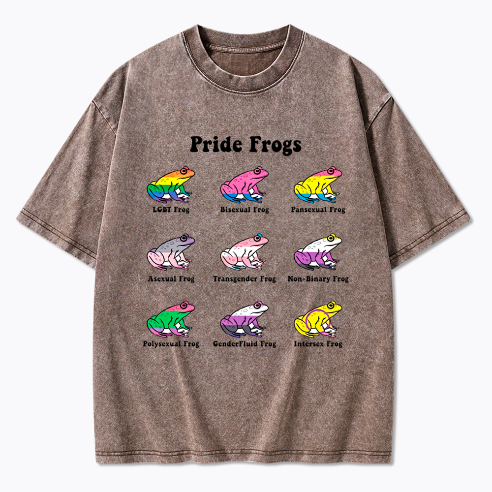 Pride Frogs Washed T-Shirt