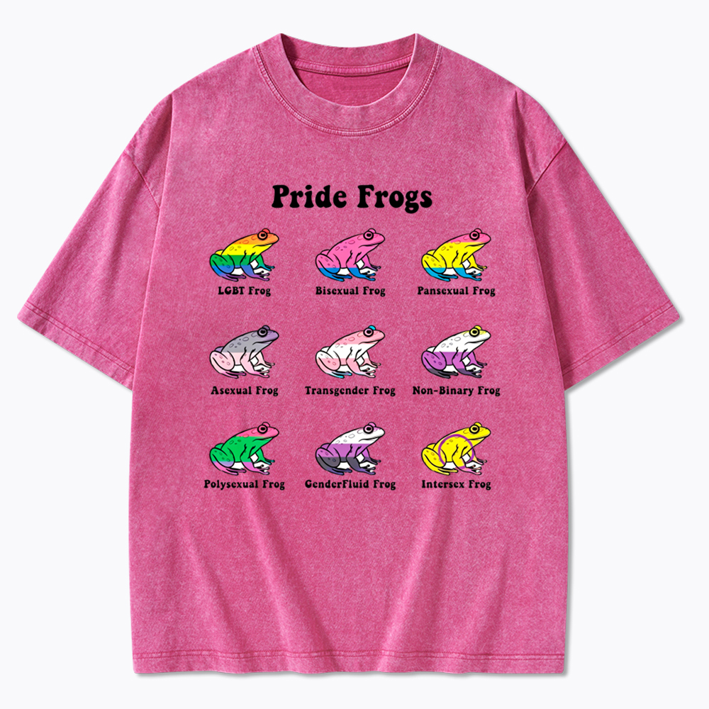 Pride Frogs Washed T-Shirt