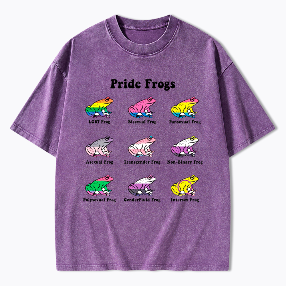Pride Frogs Washed T-Shirt