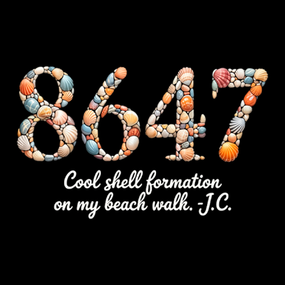8647 Washed T-Shirt