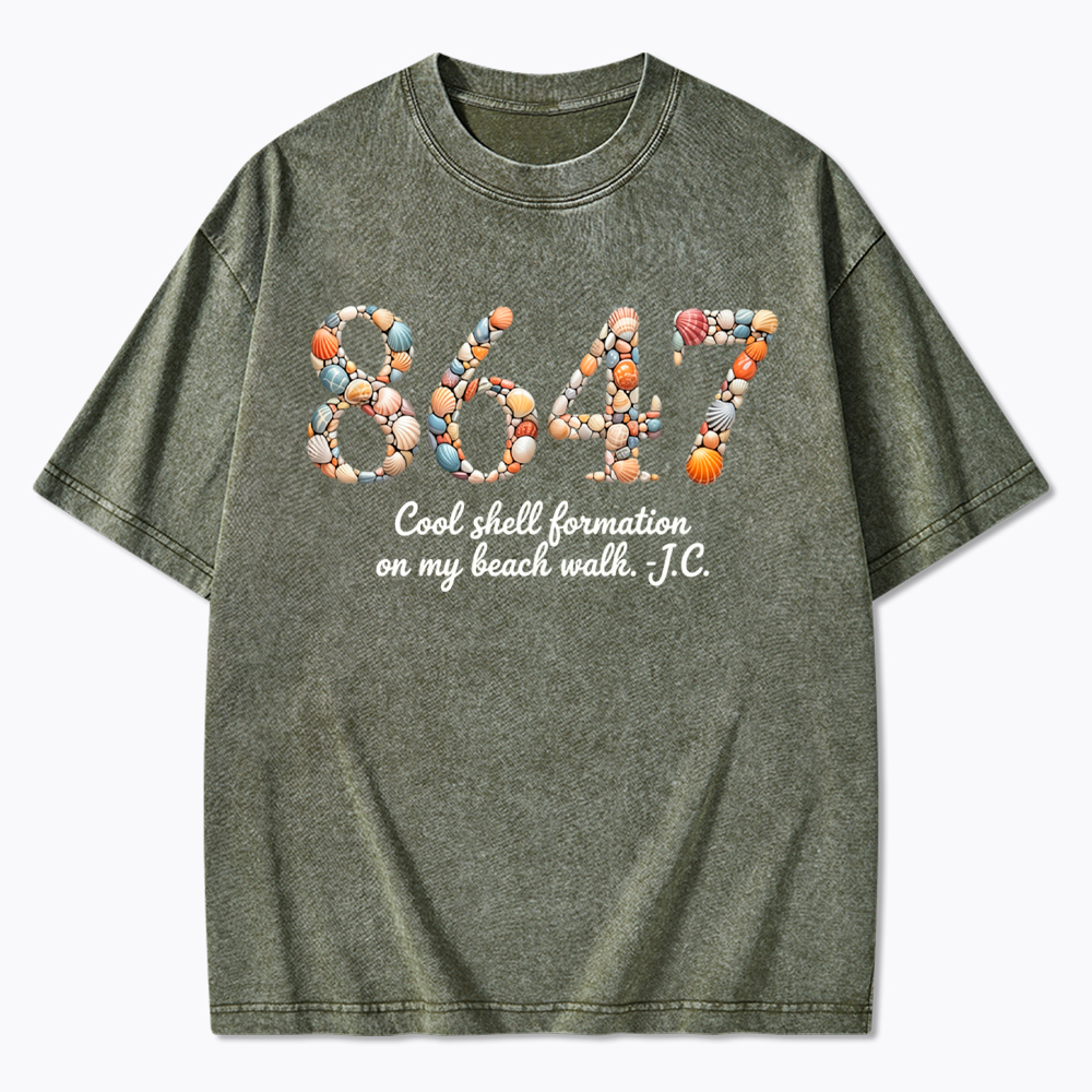 8647 Washed T-Shirt