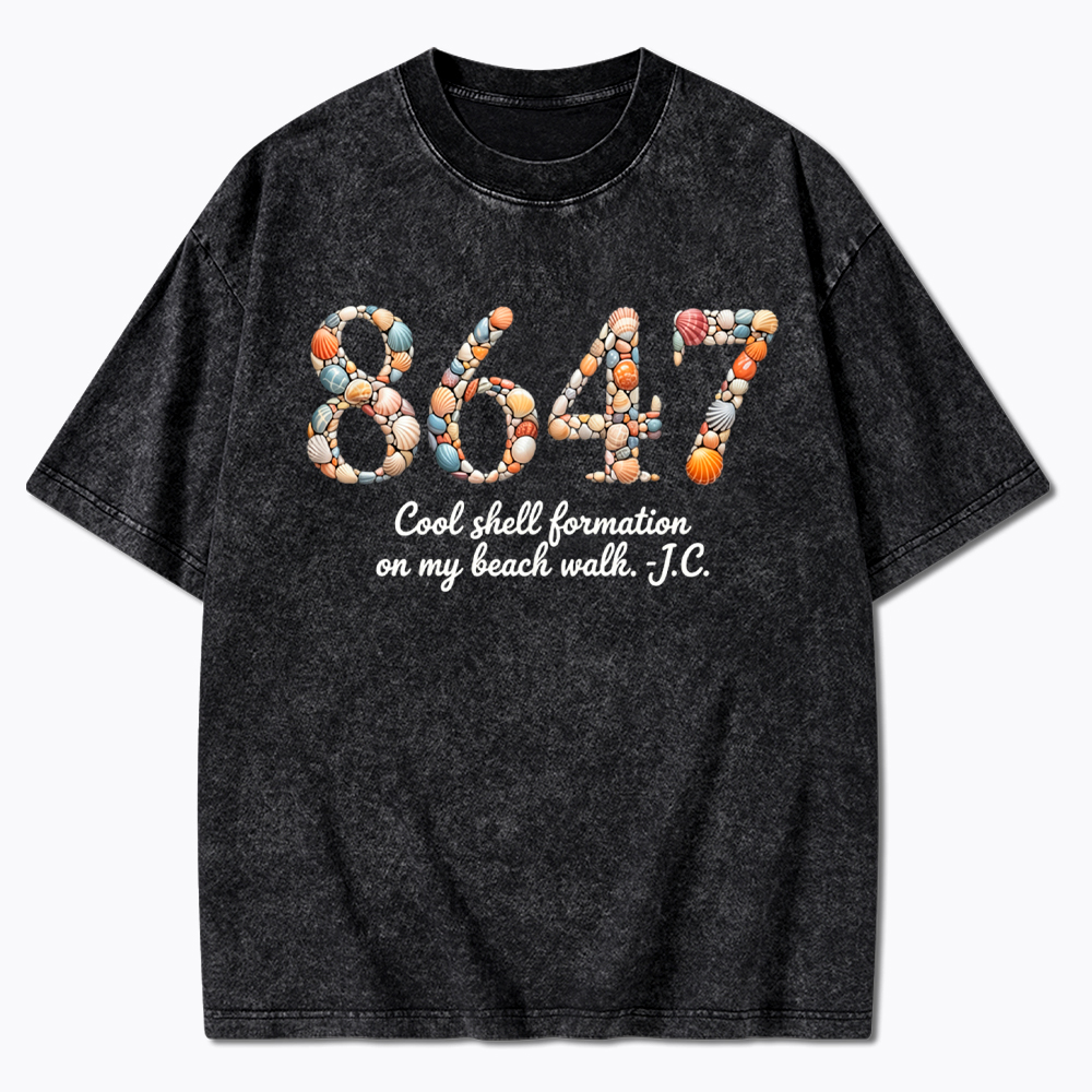 8647 Washed T-Shirt