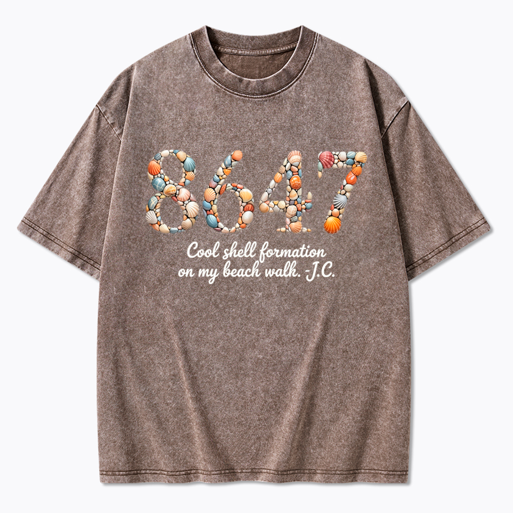 8647 Washed T-Shirt