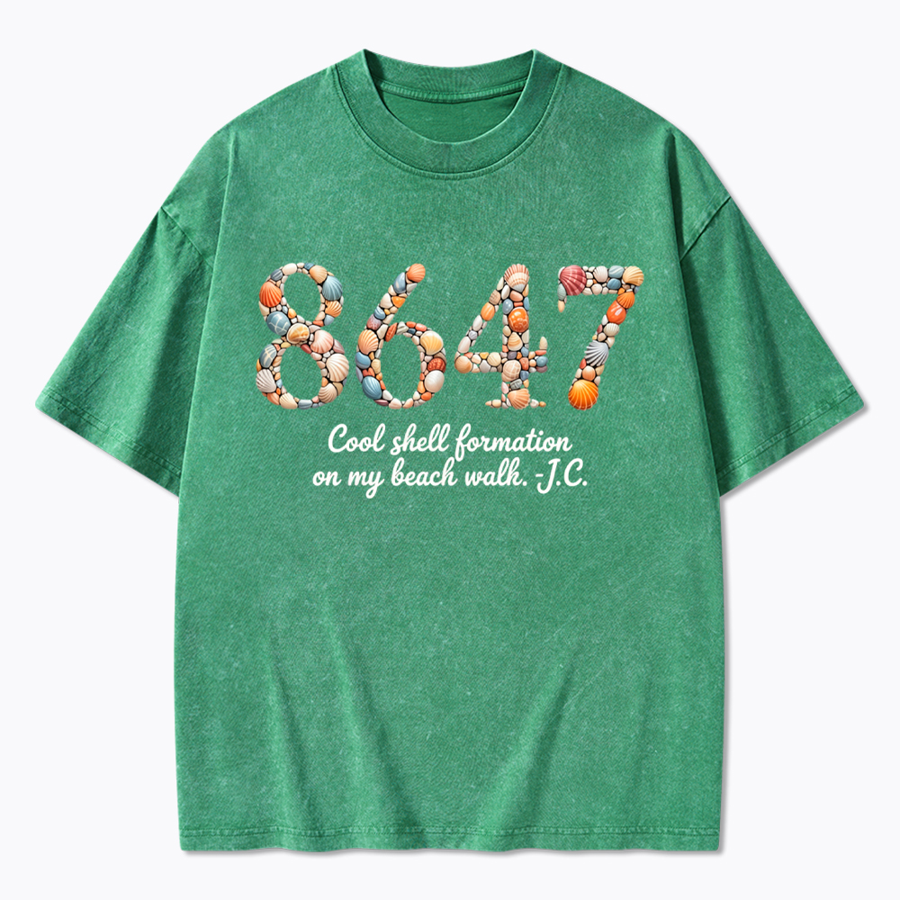 8647 Washed T-Shirt