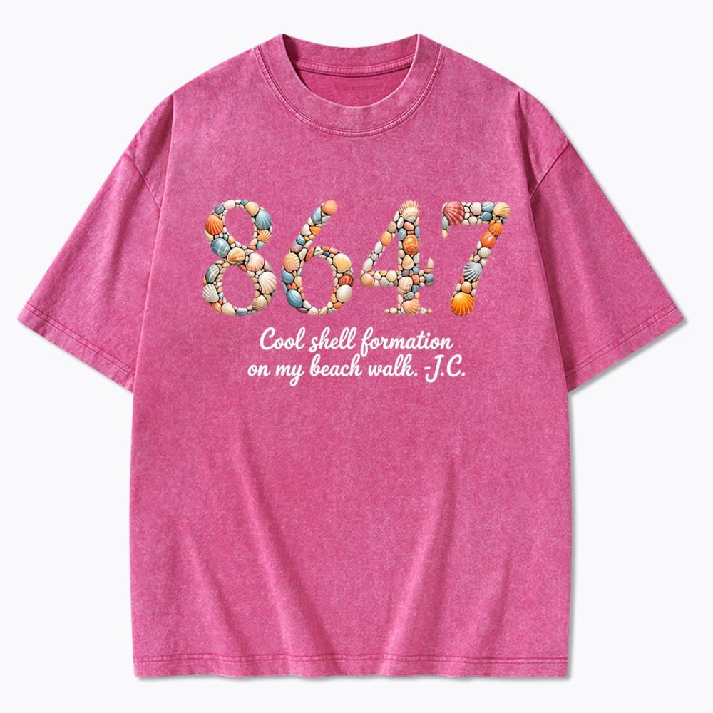 8647 Washed T-Shirt