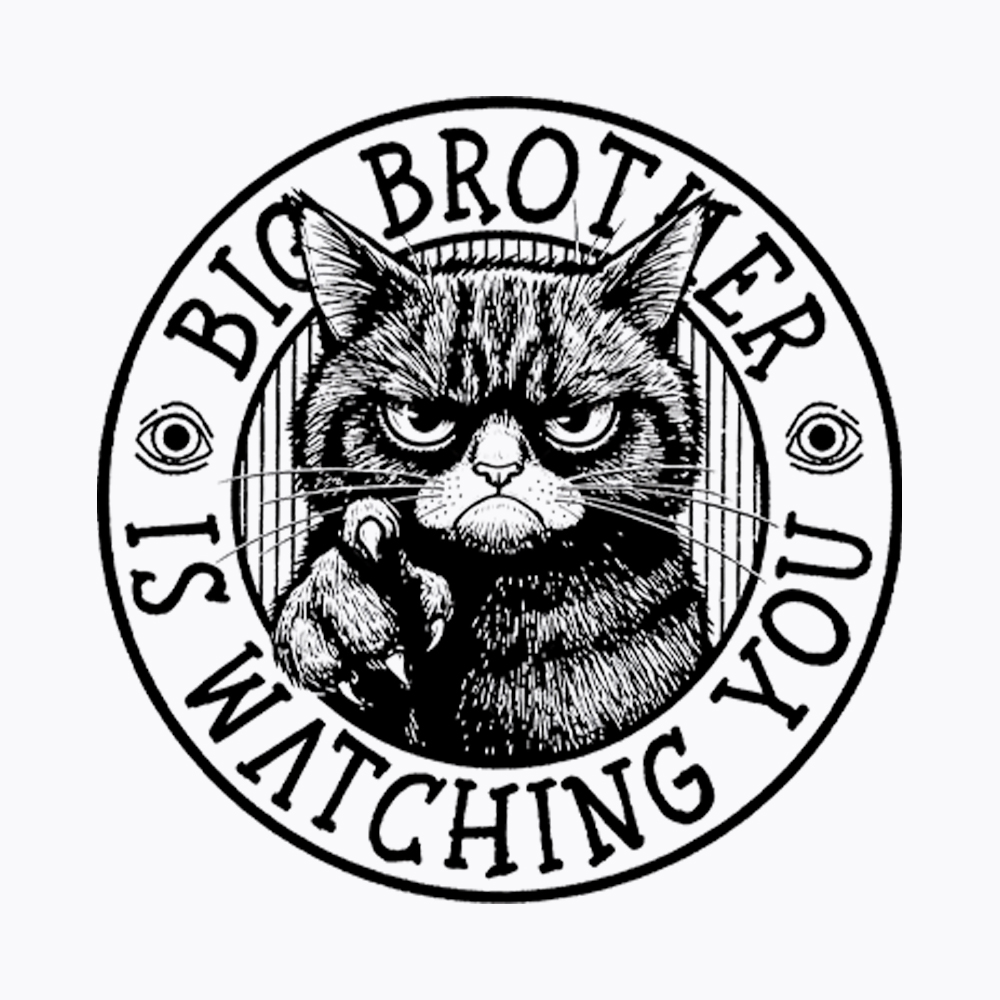 Big Brother Black Cat Is Watching You Washed T-Shirt
