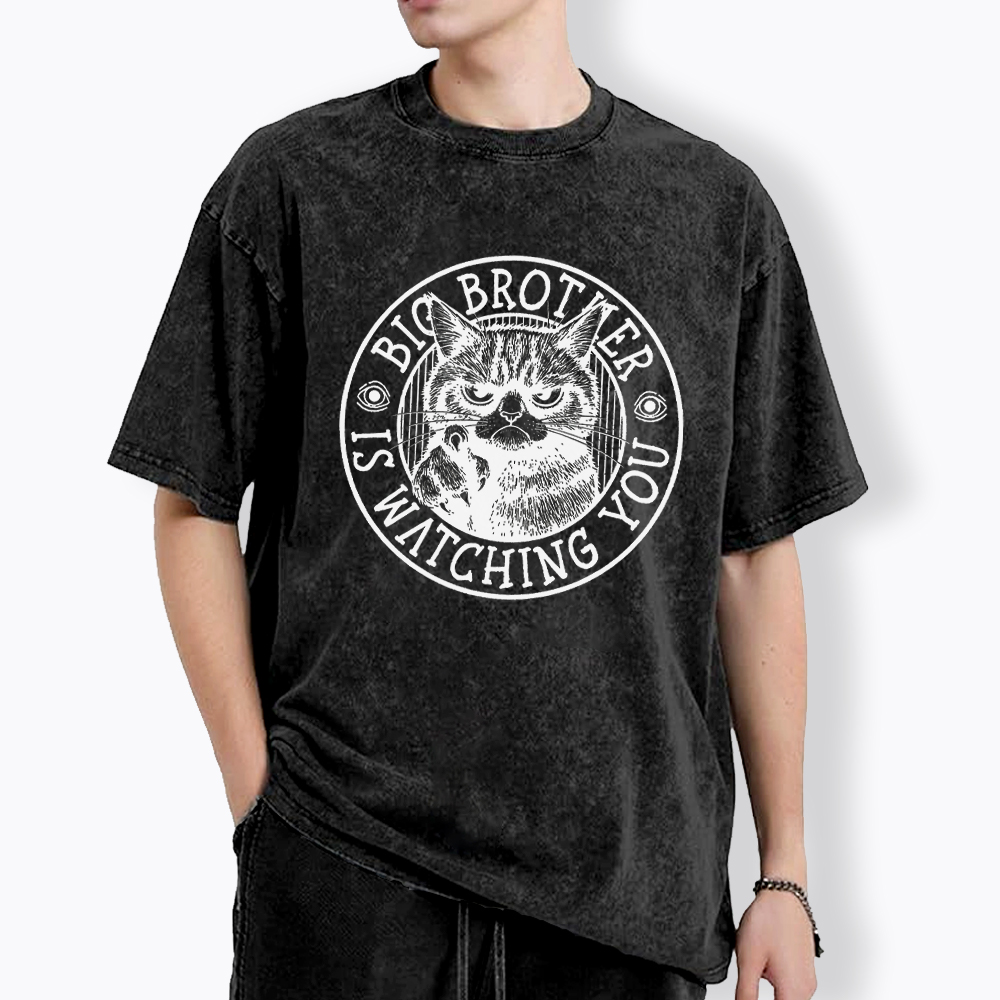 Big Brother Black Cat Is Watching You Washed T-Shirt