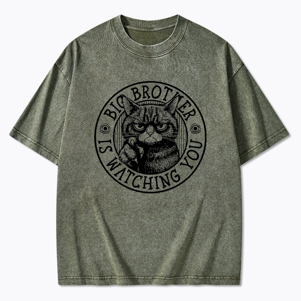 Big Brother Black Cat Is Watching You Washed T-Shirt