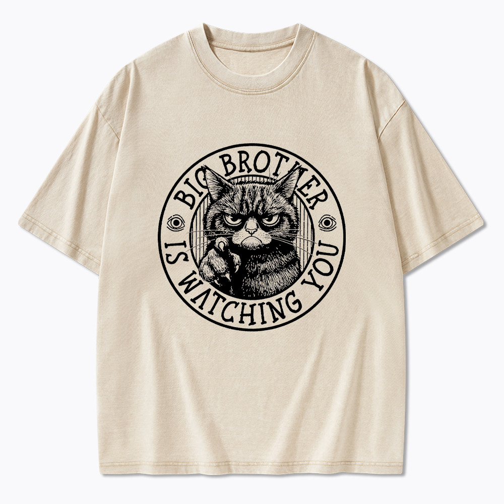 Big Brother Black Cat Is Watching You Washed T-Shirt