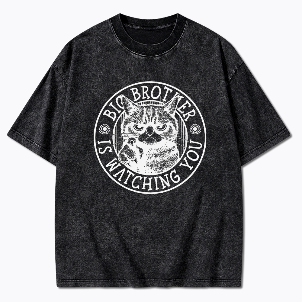 Big Brother Black Cat Is Watching You Washed T-Shirt